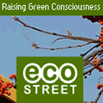 Eco Street